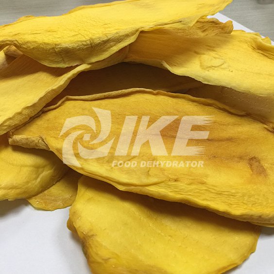 Automatic food dehydrator banana chips mango vegetable dryer fruit