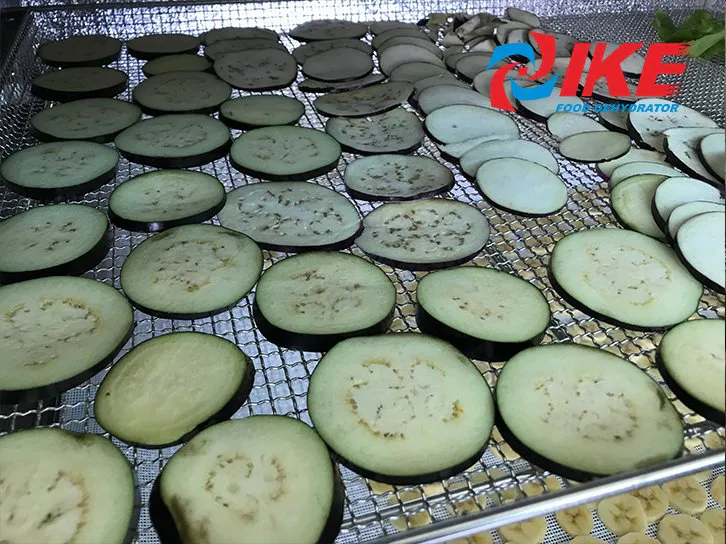 how to dry vegetable eggplant by WRH-100B