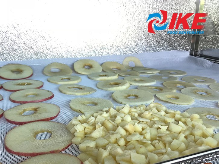 how to dry fruit apple by WRH-100B