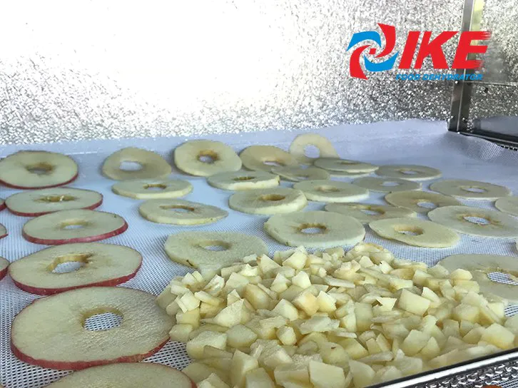 how to dry fruit apple by WRH-100B