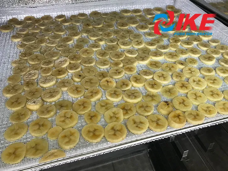 how to dry fruit banana by WRH-100B