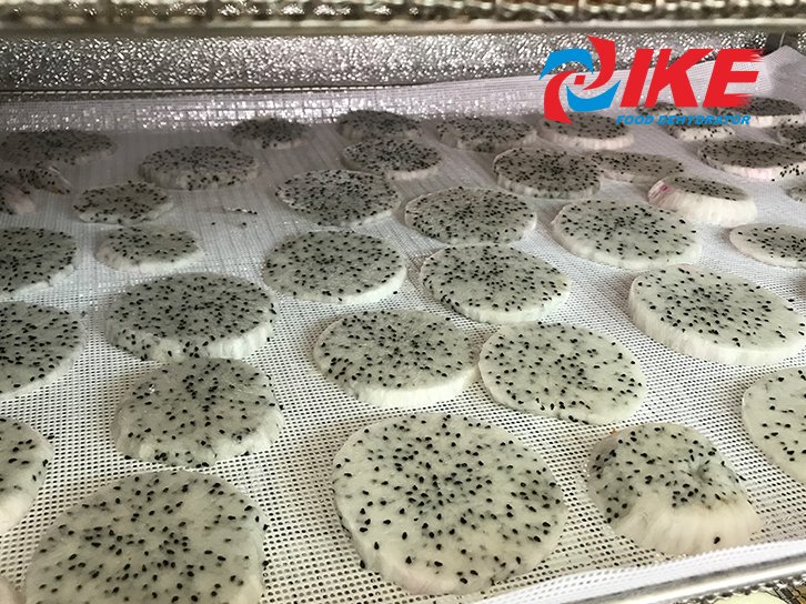 drying net Round hole tray Guidelines