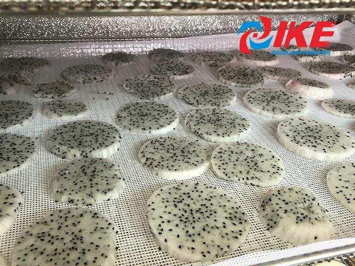 drying net Round hole tray Guidelines