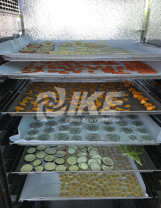 IKE precious large dehydrator for vegetable-18
