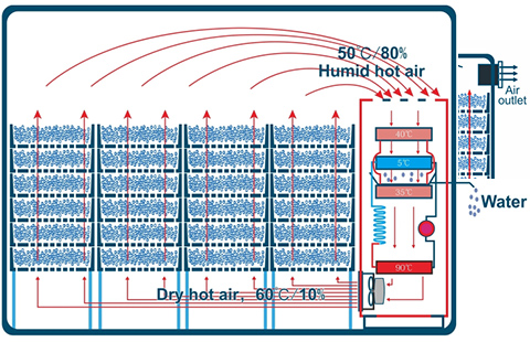 IKE-Meat Dehydrator Wrh-100d Low Temperature Heat Pump Flower And Leave Dehydrator-2