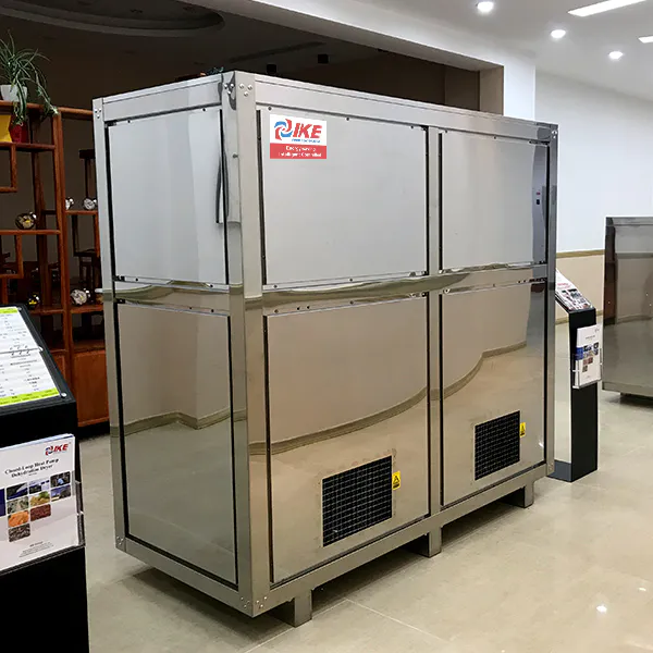 digital raw food dehydrator machine drying IKE