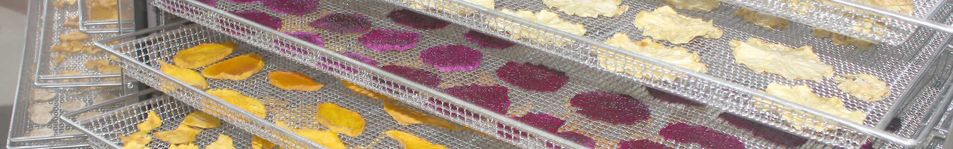 news-Yellow Chrysanthemum Dehydrator-IKE Food Machinery-img-1