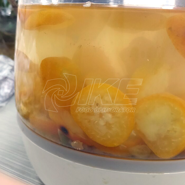 IKE-Kumquat Drying Machine, Best Fruit Dehydrator Provided By IKE-2