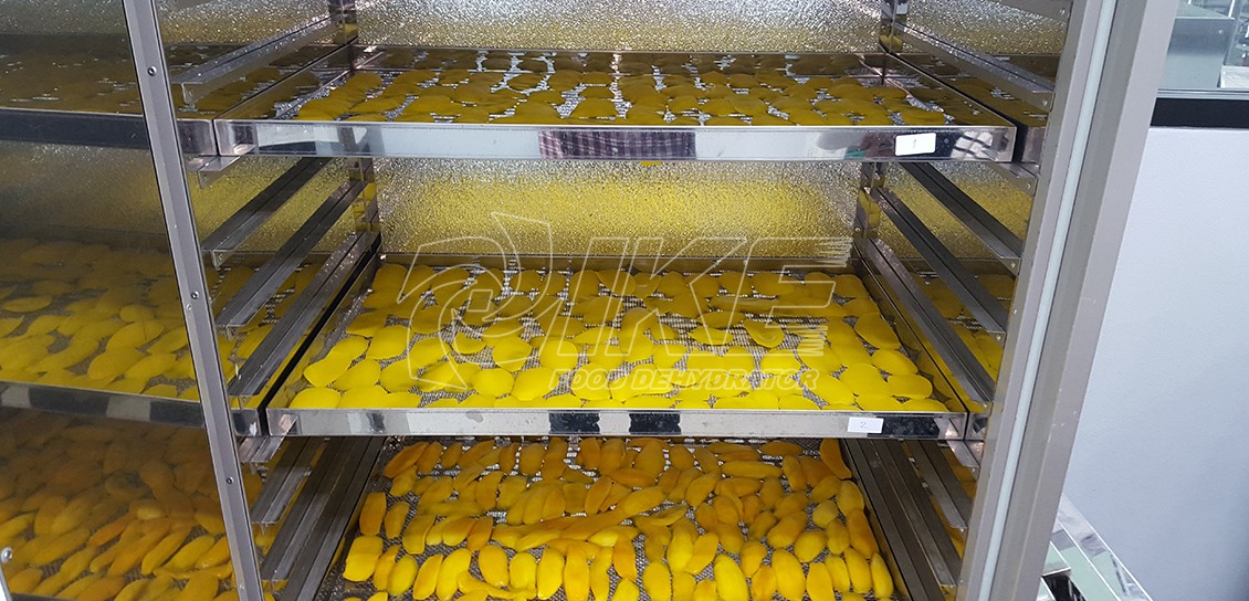 Commercial Mango Fruit Drying Dehydrator Machine