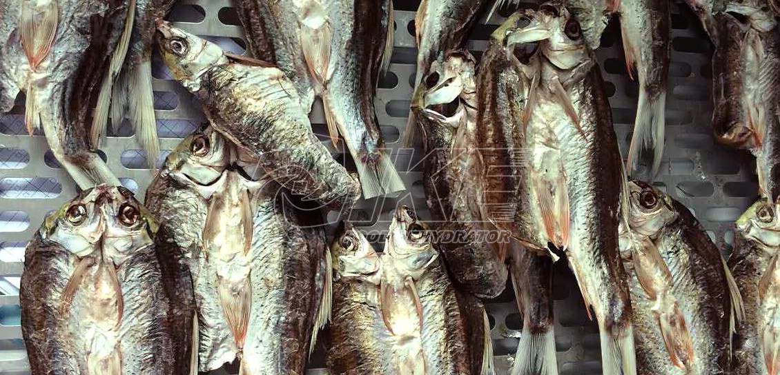 Drying Fish