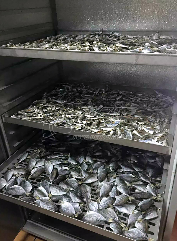 Fish Drying Machine, Fish Dehydrator, Fish Drying Machine Price