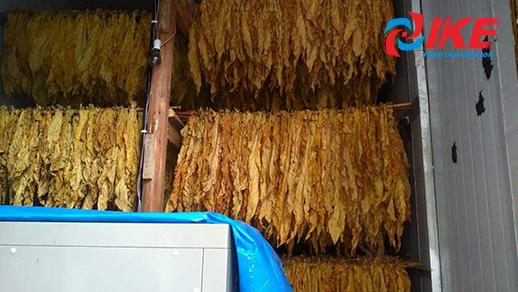 how to dry tobacco by IKE drying room