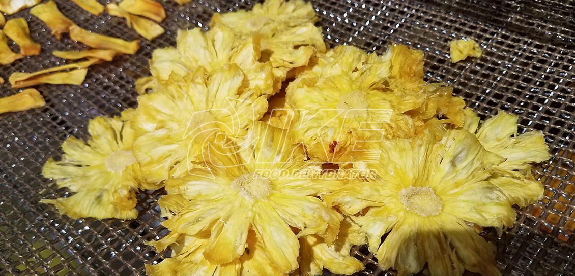 IKE-Pineapple Dehydrator | Fruit Dehydrator