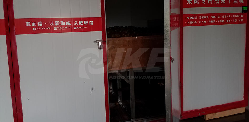 IKE professional industrial drying equipment middle for vegetable
