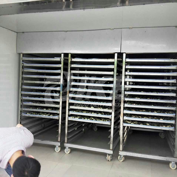 large commercial dehydrator for drying IKE-5