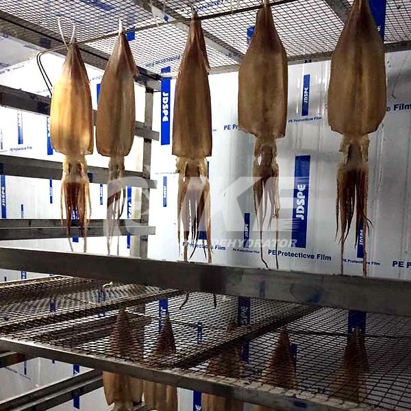 professional drying chamber equipment for dehydrating IKE