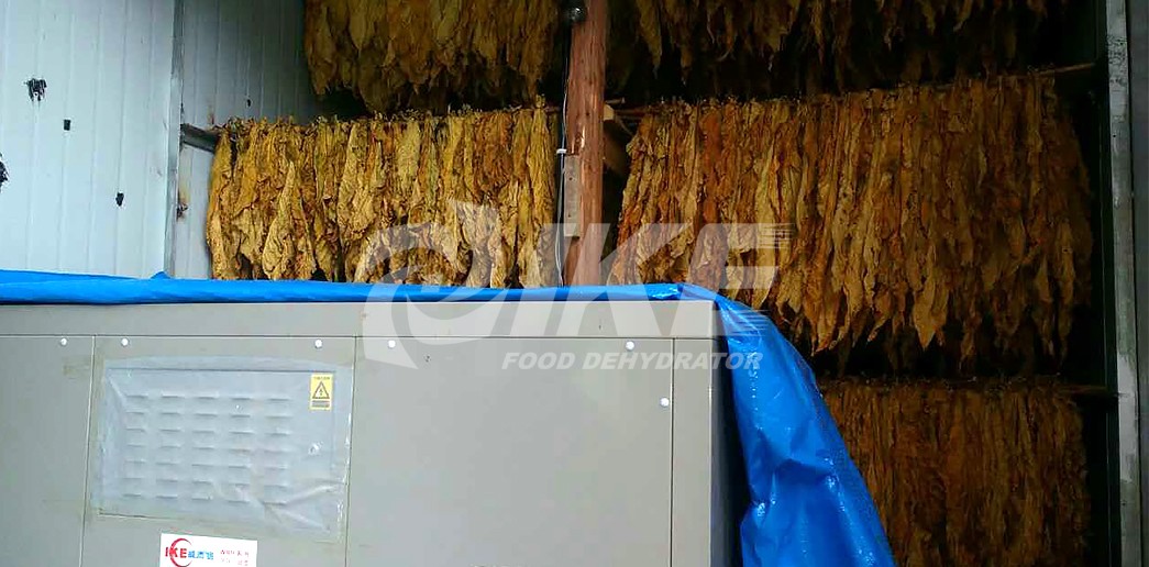 hot air dryer machine dryer equipment for vegetable IKE-8