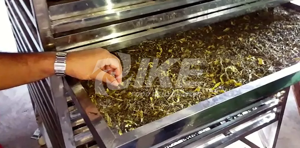 IKE commercial industrial dehydrator for food
