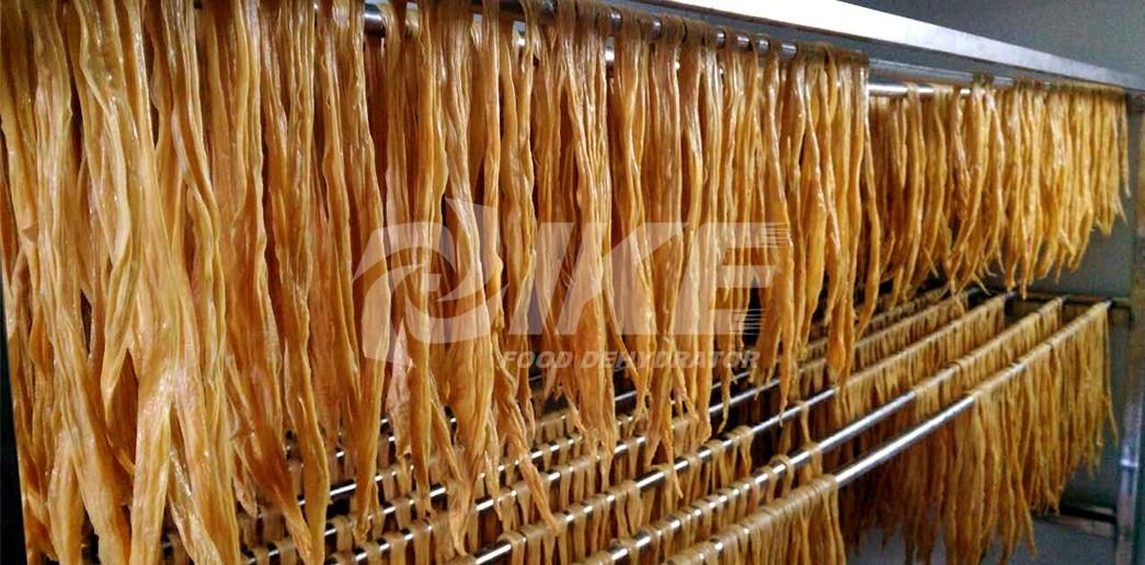 IKE commercial food dryer machine anti-temperature for drying