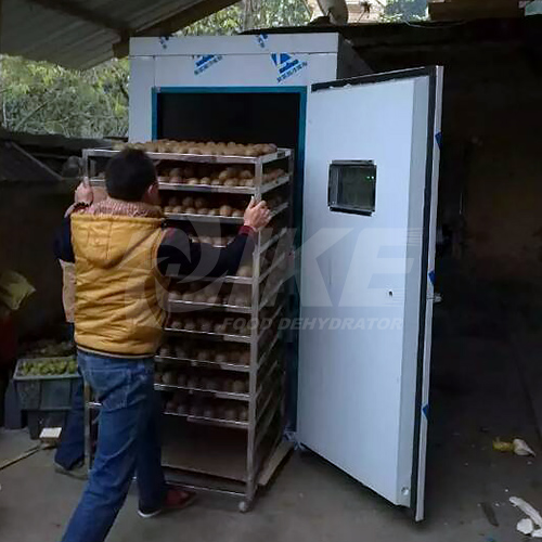 commercial food dryer machine popular for food-5