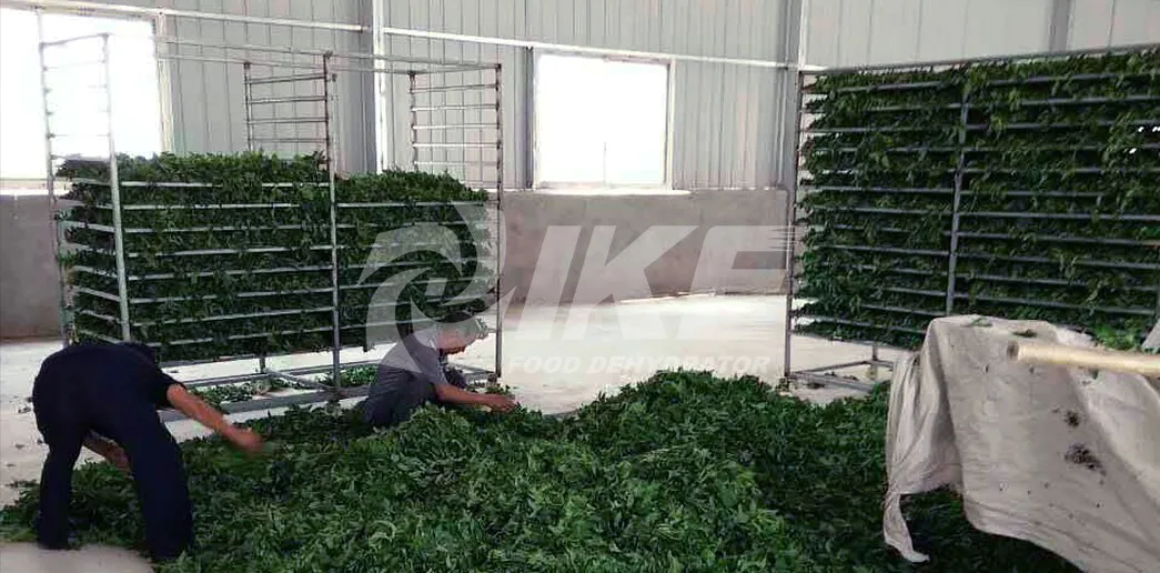 Hot panel dehydrator trays retaining mesh IKE Brand