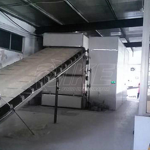 large metal conveyor belt dehydrator for jerky IKE