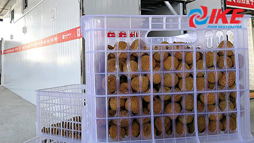 Dried Lychee Dry By Vegetable Air Dryer