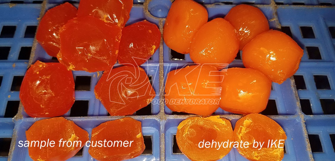 IKE-News About Hot-Sale Salted Egg Yolk Drying Machine