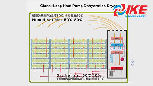 Introduction Of IKE Heat Pump Dehydrator