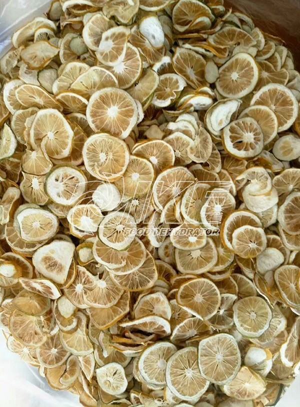 IKE-Looking For Lemon Drying Machine, Commercial Fruit Dehydrator-1