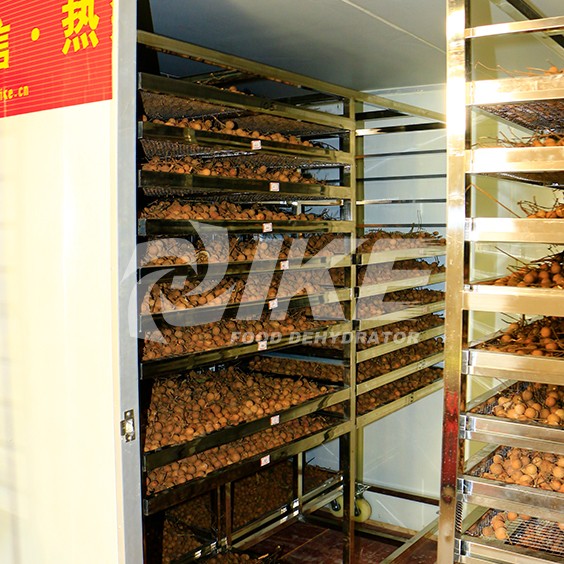 IKE-Details About Longan Drying Machine Fruit Dehydrator Machine