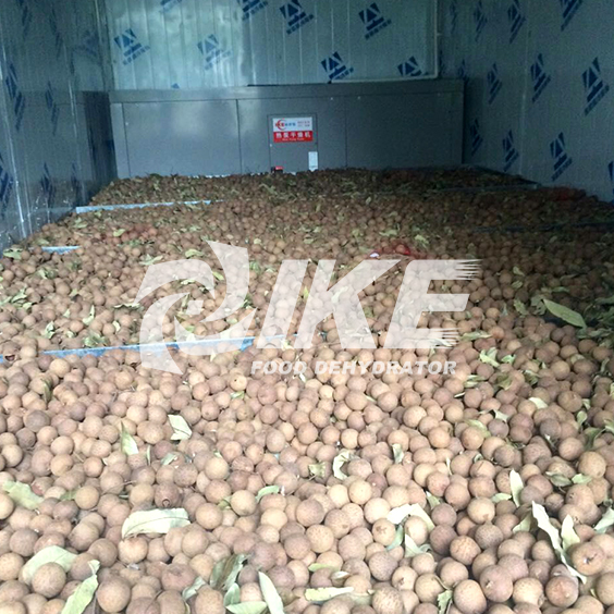 IKE-Details About Longan Drying Machine Fruit Dehydrator Machine-1