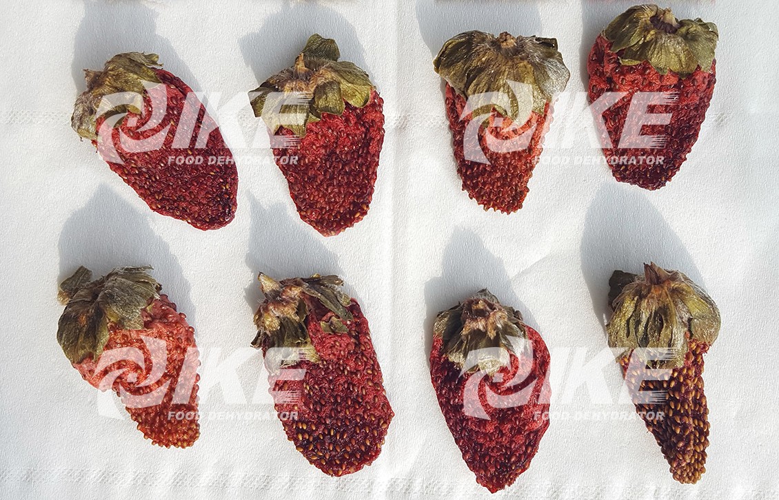 IKE-Stawberry Drying Machine | Fruit And Veggie Dehydrator From IKE
