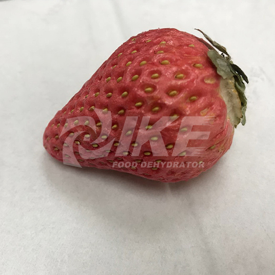 IKE-Stawberry Drying Machine | Fruit And Veggie Dehydrator From IKE-3