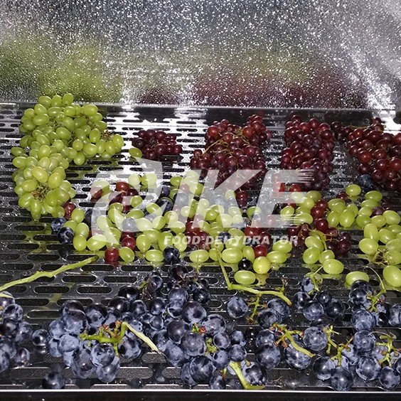 Buy Wholesale China Intergrated Grapes In Food Dehydrator Machine Grape Drying  Machine & Grape Drying Machine at USD 1000