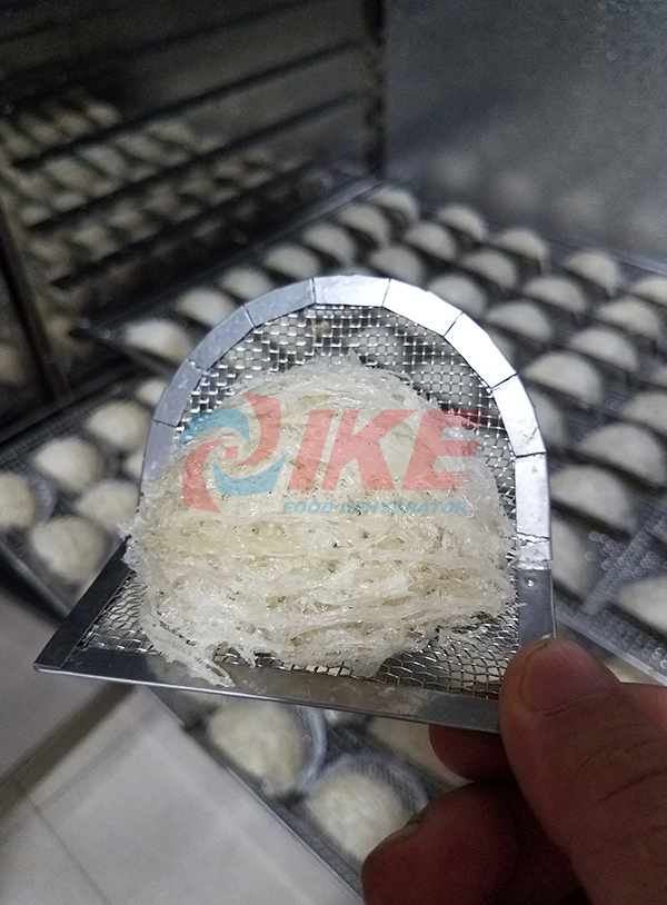 IKE-Plastic Dryer Machine-edible Birds Nest Dehydrator-1