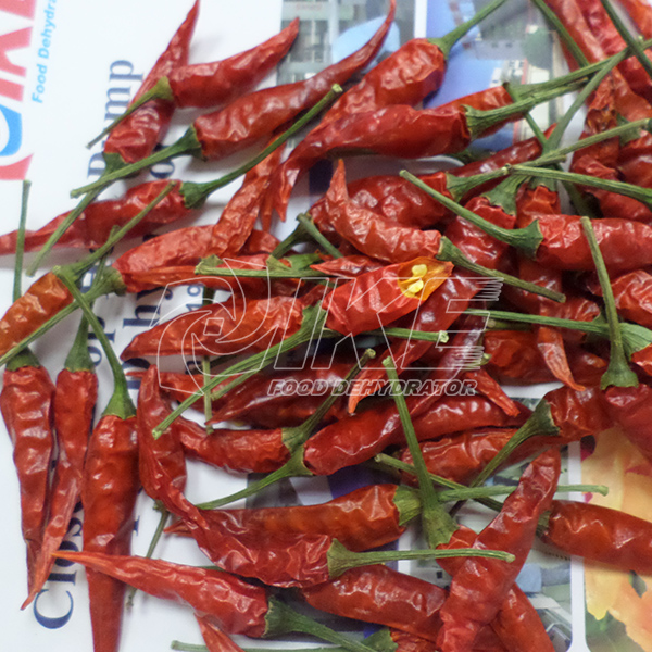 dried red chili