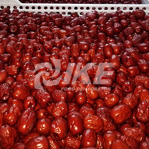 Jujube Fruit (Chinese Dates) Dehydrator