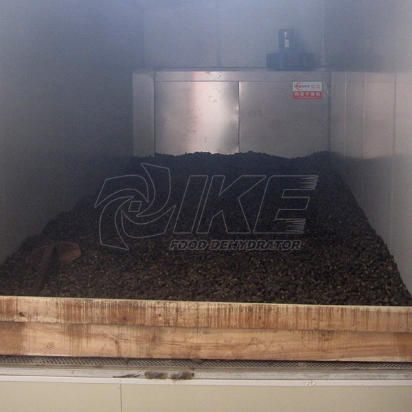 IKE-Areca Nut Dehydrator-1