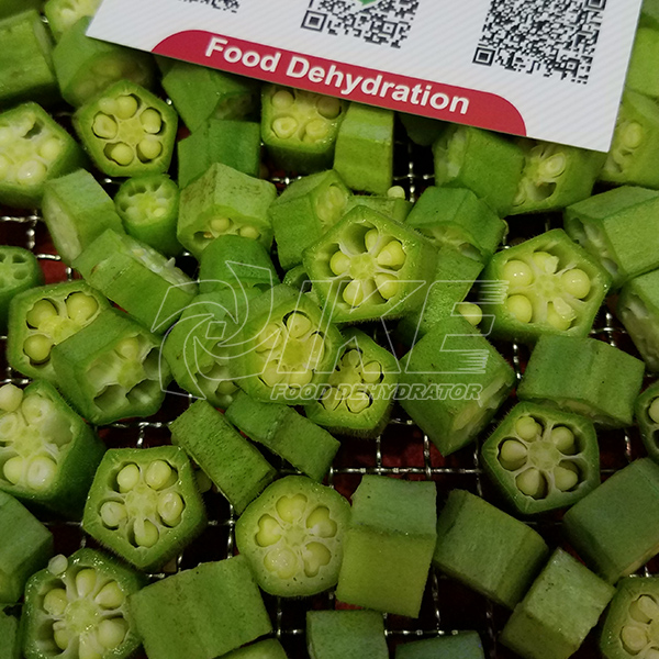 IKE-Okra Dehydrator