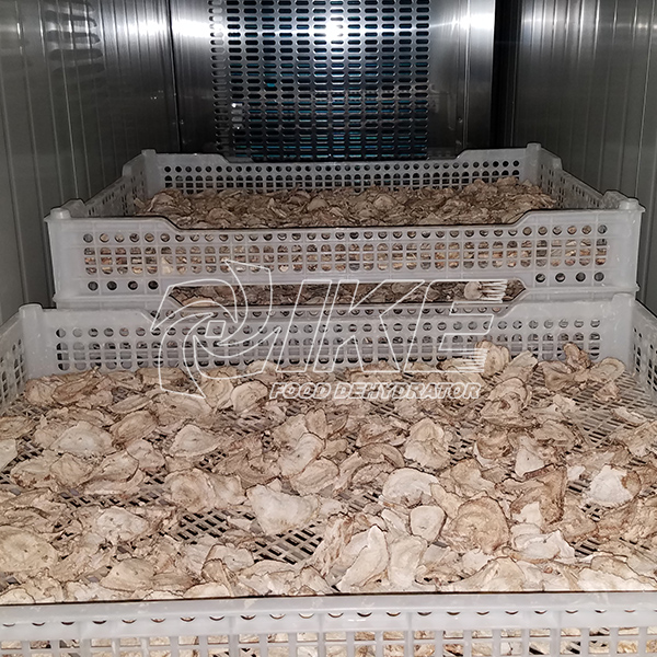 IKE-Kudzu Root Dehydrator-1