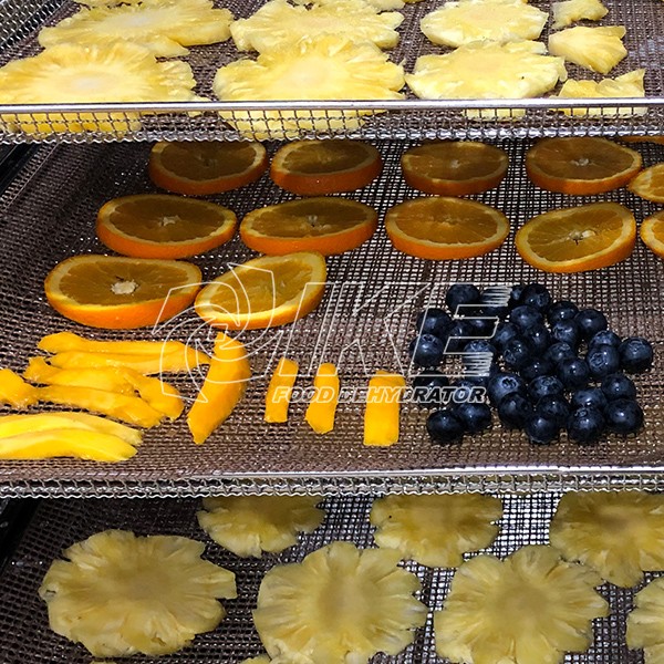 IKE-Orange Dehydrator, Guangdong Ike Industrial Co,ltd