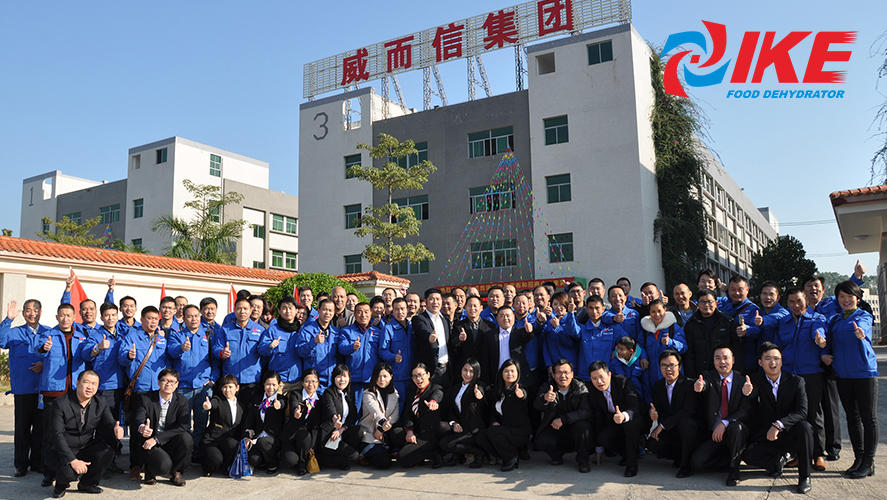 Guangdong IKE Industrial Co. Ltd Introduction