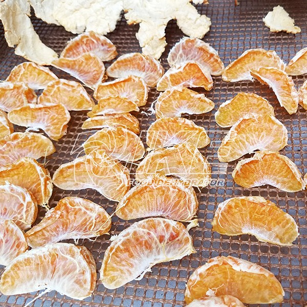 IKE-Tangerine Dehydrator-1