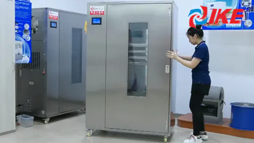 Secador de alimentos de temperatura media-alta serie WRH-100