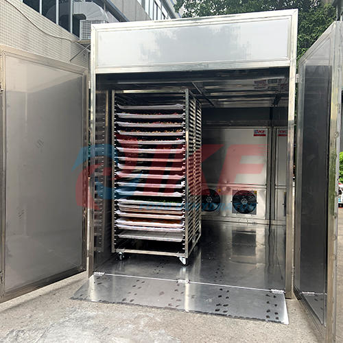 AIO-DF600T Best Industrial Food Dehydrator Machine