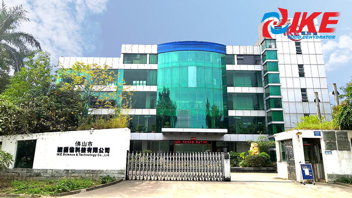 Guangdong IKE Industrial Co. Ltd Introduction