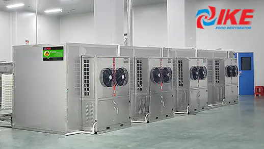 AIO-DF600 IKE fish drying system