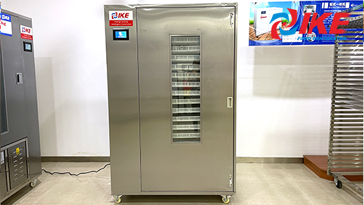Machine de séchage de fruits et légumes WRH-100B avec plateaux en plastique