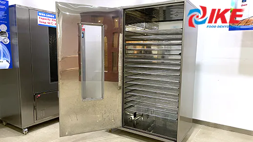 Máquina de secado de alimentos WRH-100B con bandejas de malla